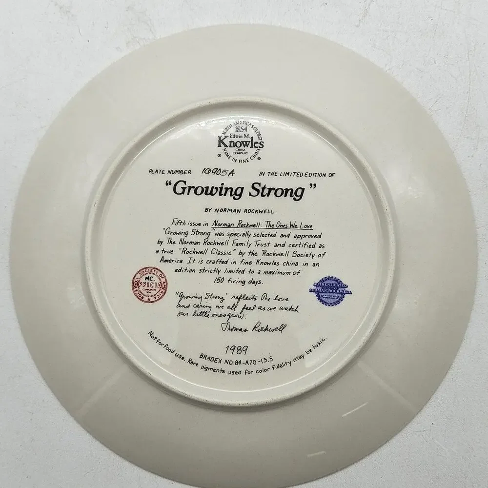 Normal Rockwell Collectors Plate GROWING STRONG #16905A 1989